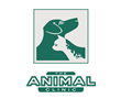 The Animal Clinic