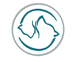Bowen Veterinary Services